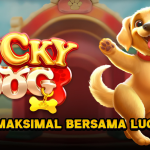 Tips Gacor Maksimal Bersama Lucky Dog